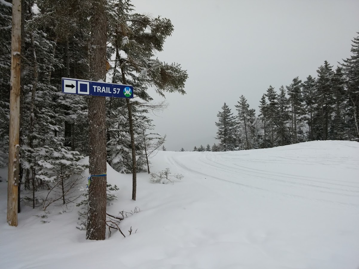 SKIING!